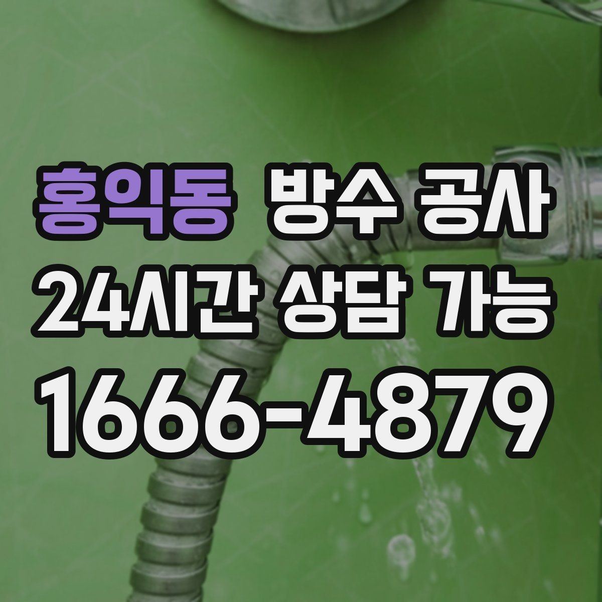 홍익동 방수 공사 지하 계단실 곰팡이 원인 점검