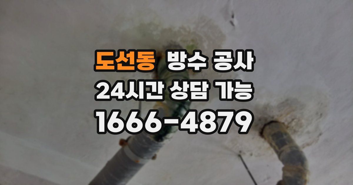 도선동 누수탐지