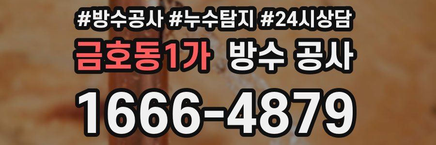 금호동1가 방수 공사