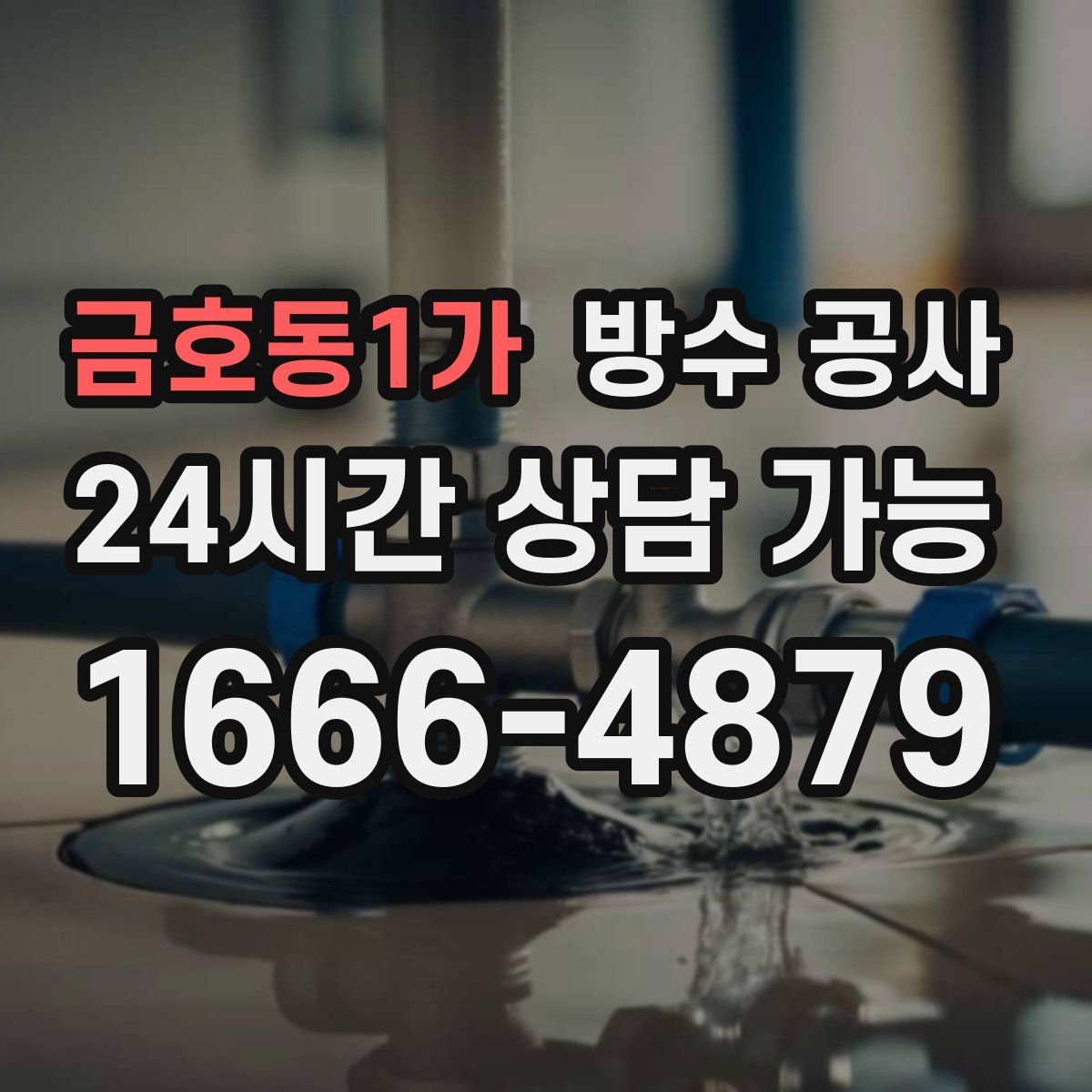 금호동1가 방수