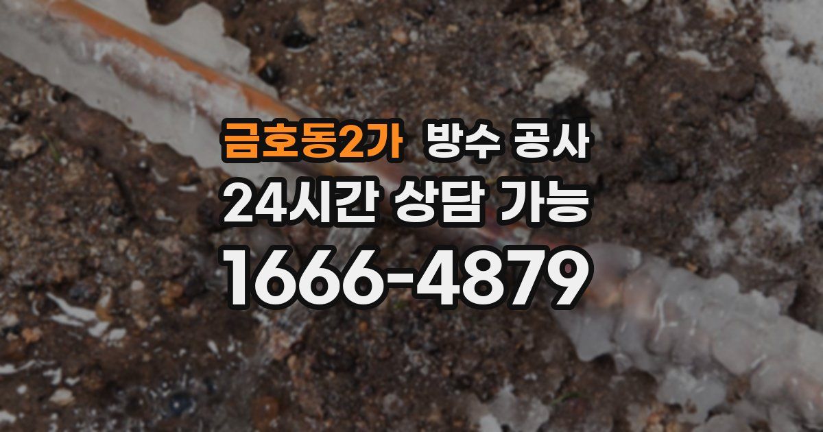 금호동2가 누수탐지