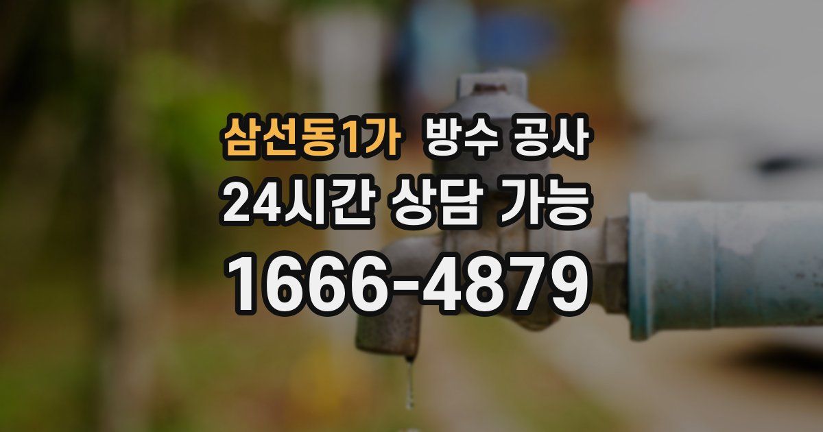 삼선동1가 누수탐지