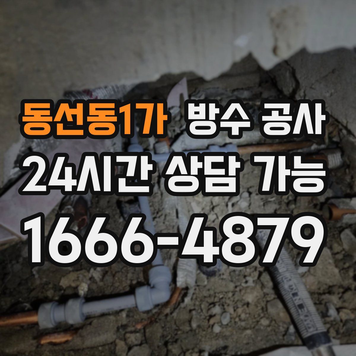 동선동1가 방수