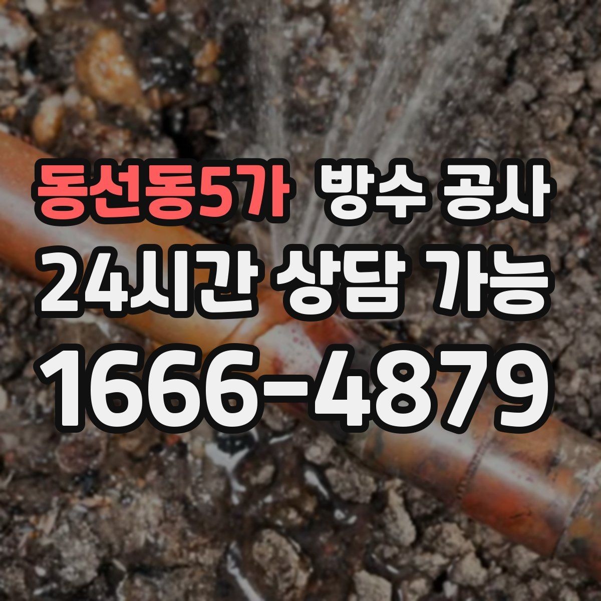 동선동5가 방수 공사 주차장 기둥 하단 젖음 보강