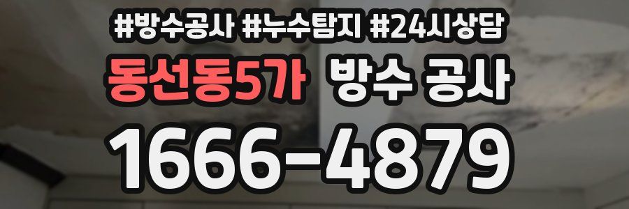 동선동5가 방수 공사