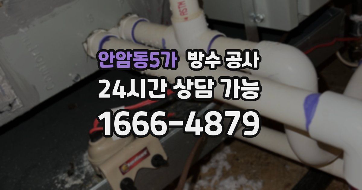 안암동5가 누수탐지