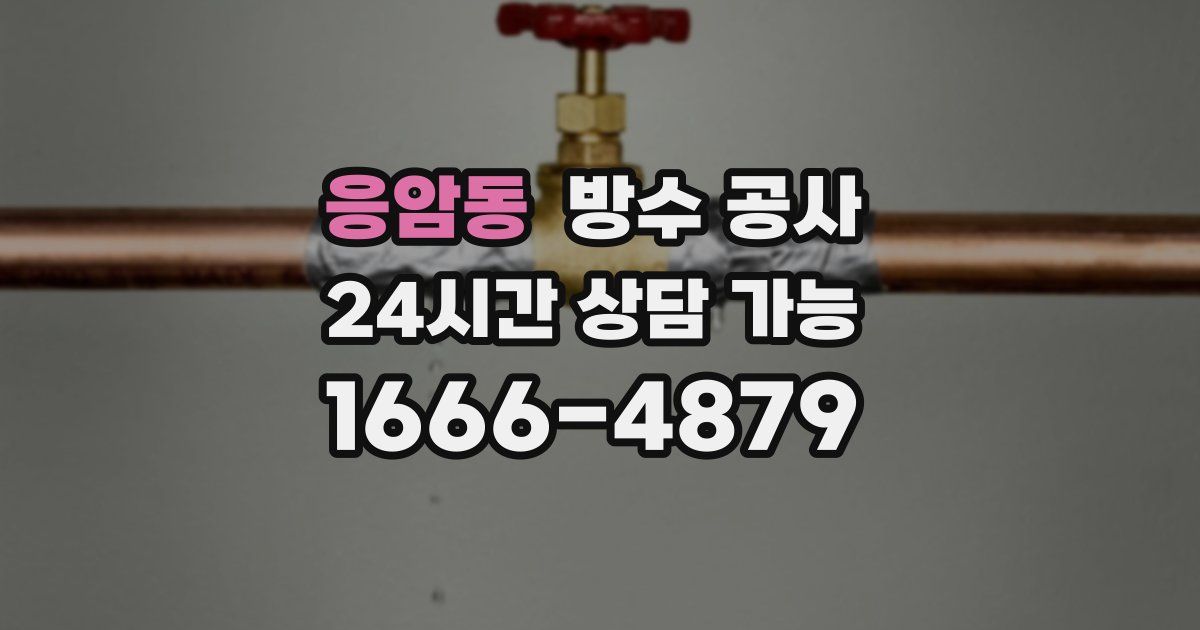 응암동 누수탐지