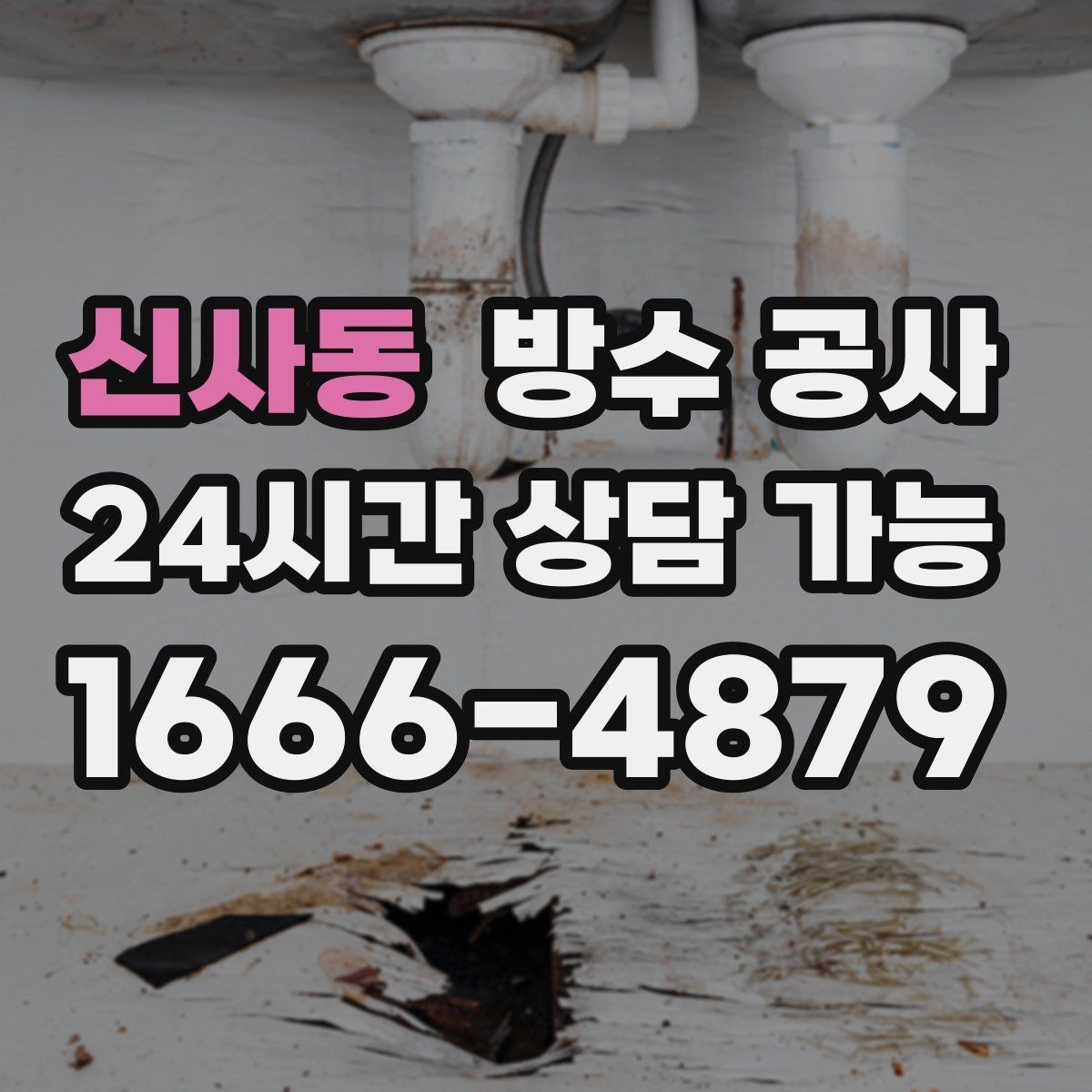 신사동 방수 공사 창고 누수로 곰팡이가 생길 때