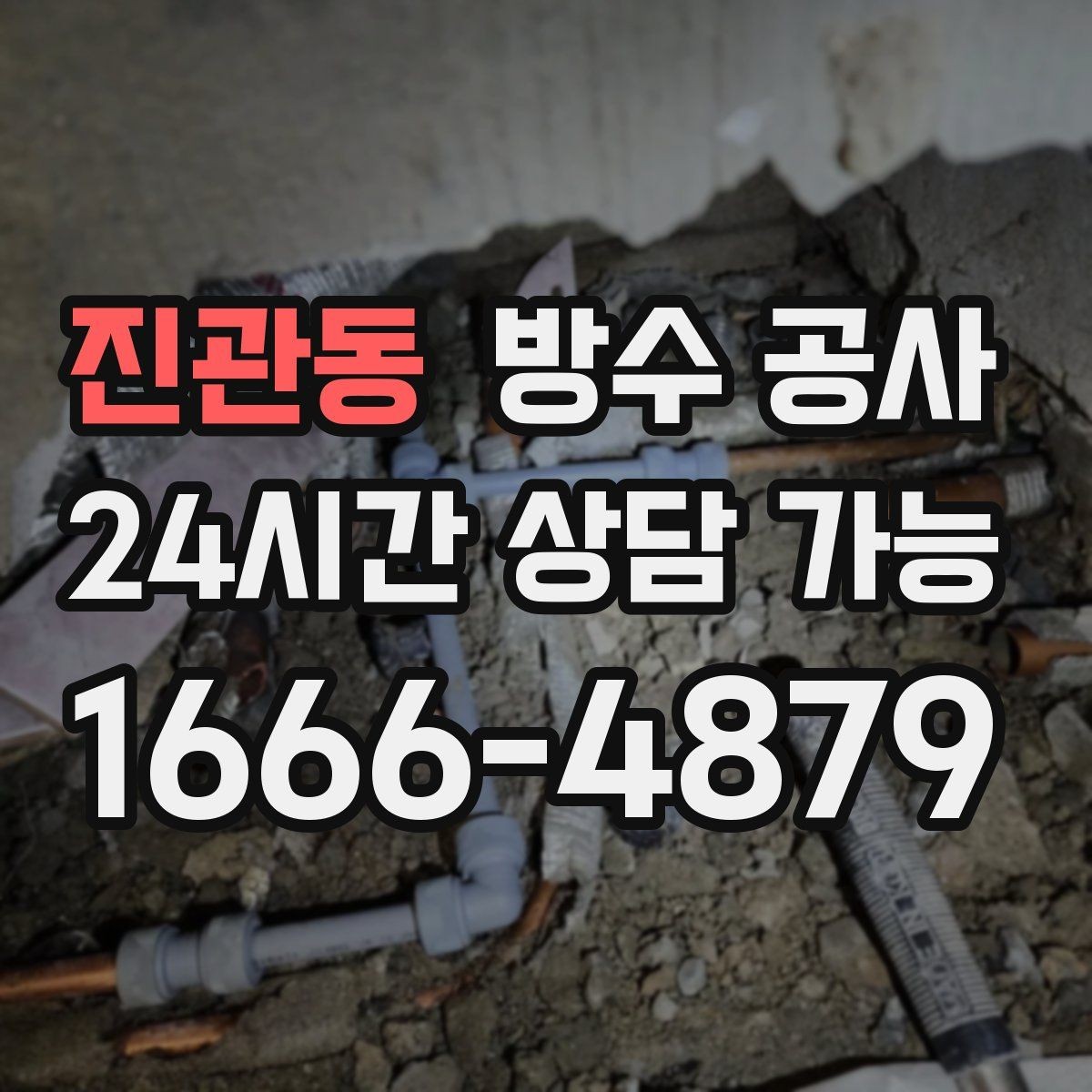 진관동 방수 공사 창고 누수로 곰팡이가 생길 때