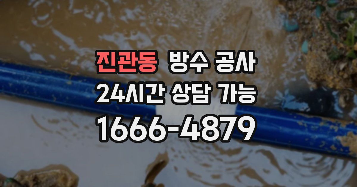 진관동 누수탐지