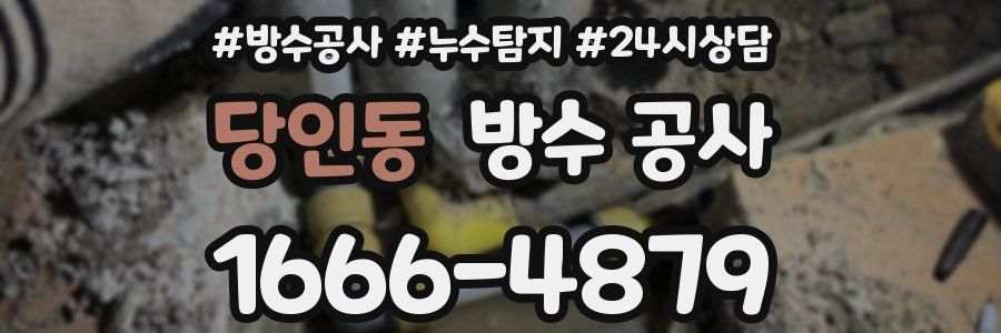 당인동 방수 공사