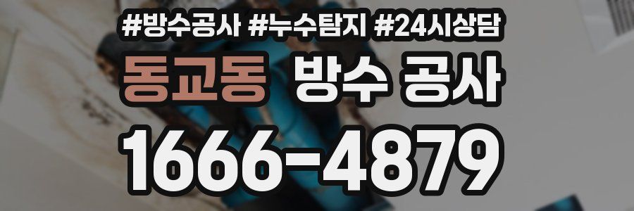 동교동 방수 공사