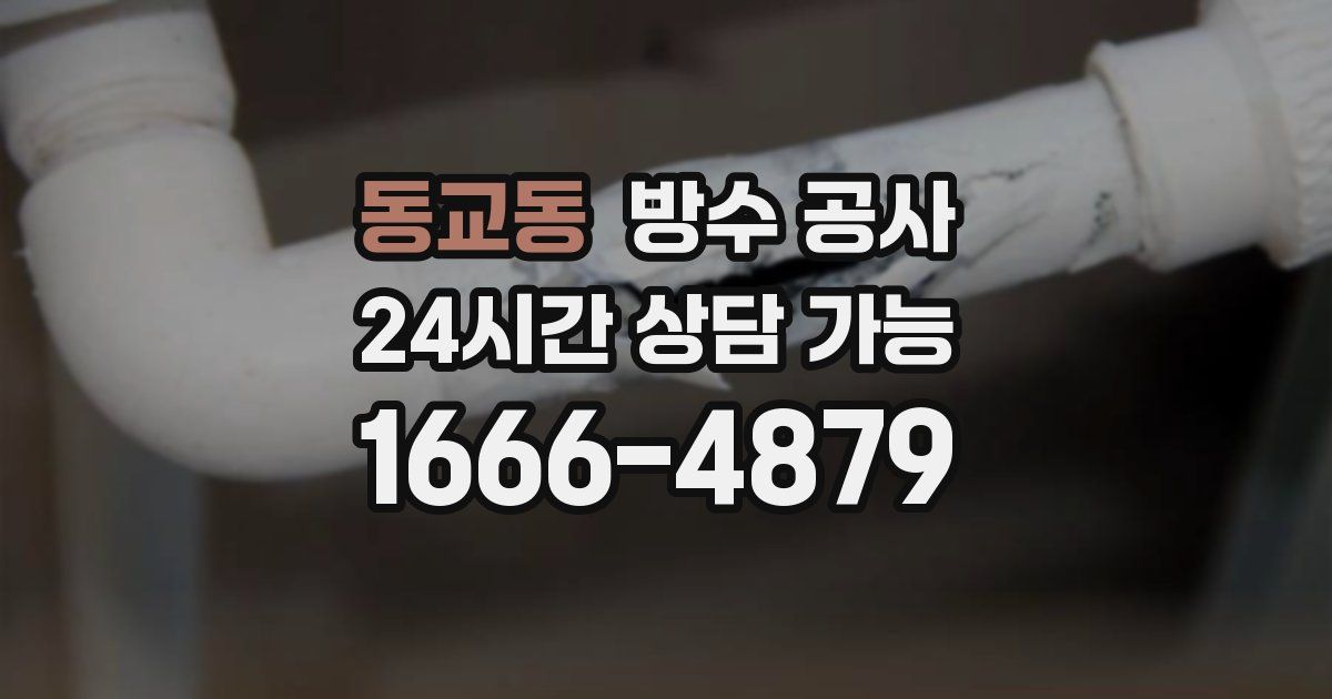 동교동 누수탐지