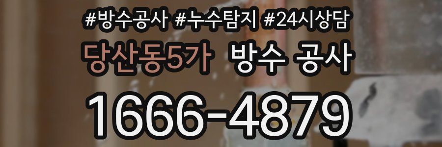 당산동5가 방수 공사