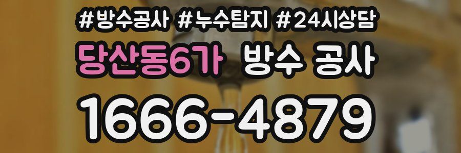 당산동6가 방수 공사