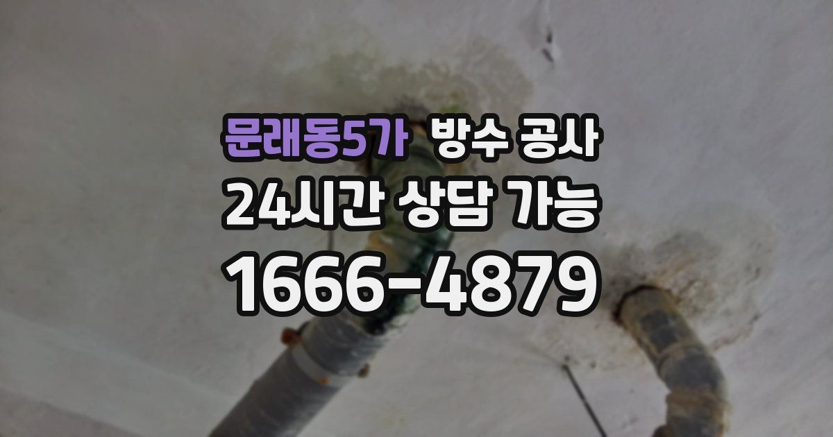 문래동5가 누수탐지