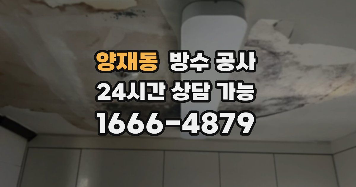 양재동 누수탐지