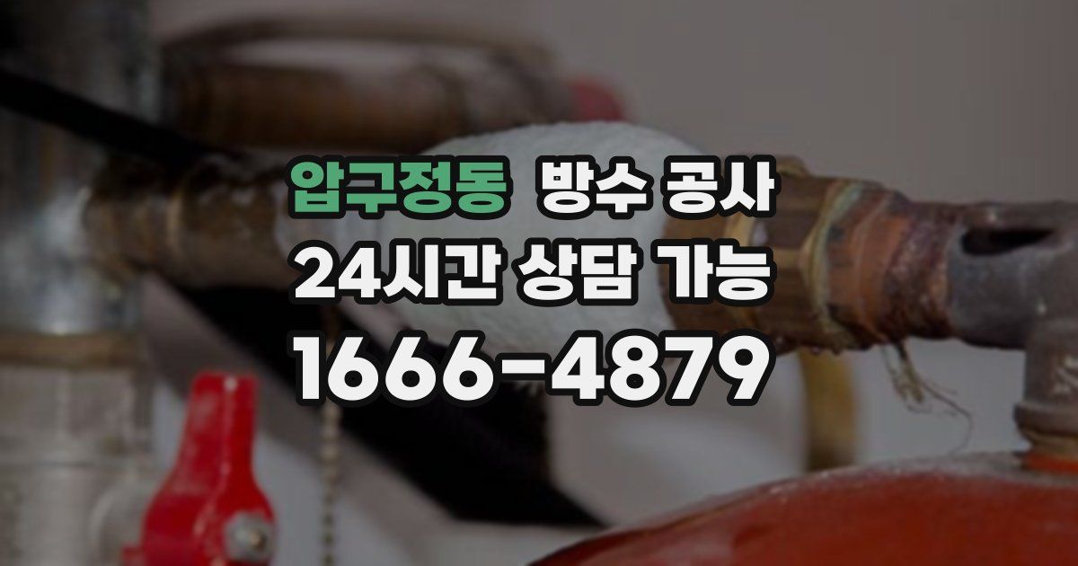 압구정동 누수탐지