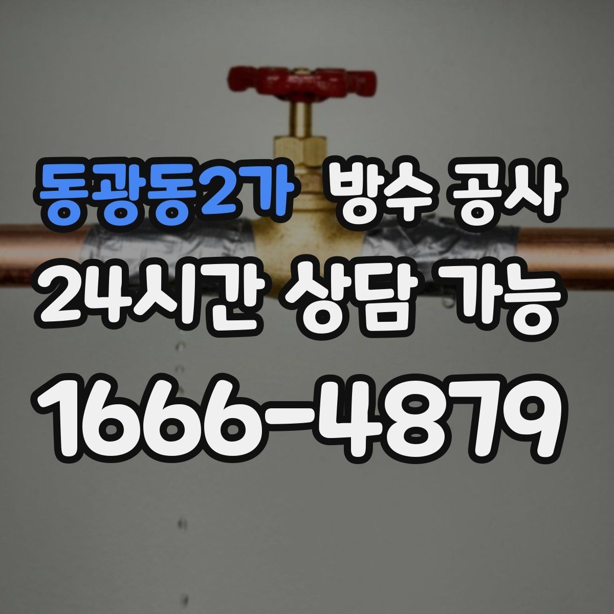 동광동2가 방수 공사 바닥 모서리만 젖는 이유