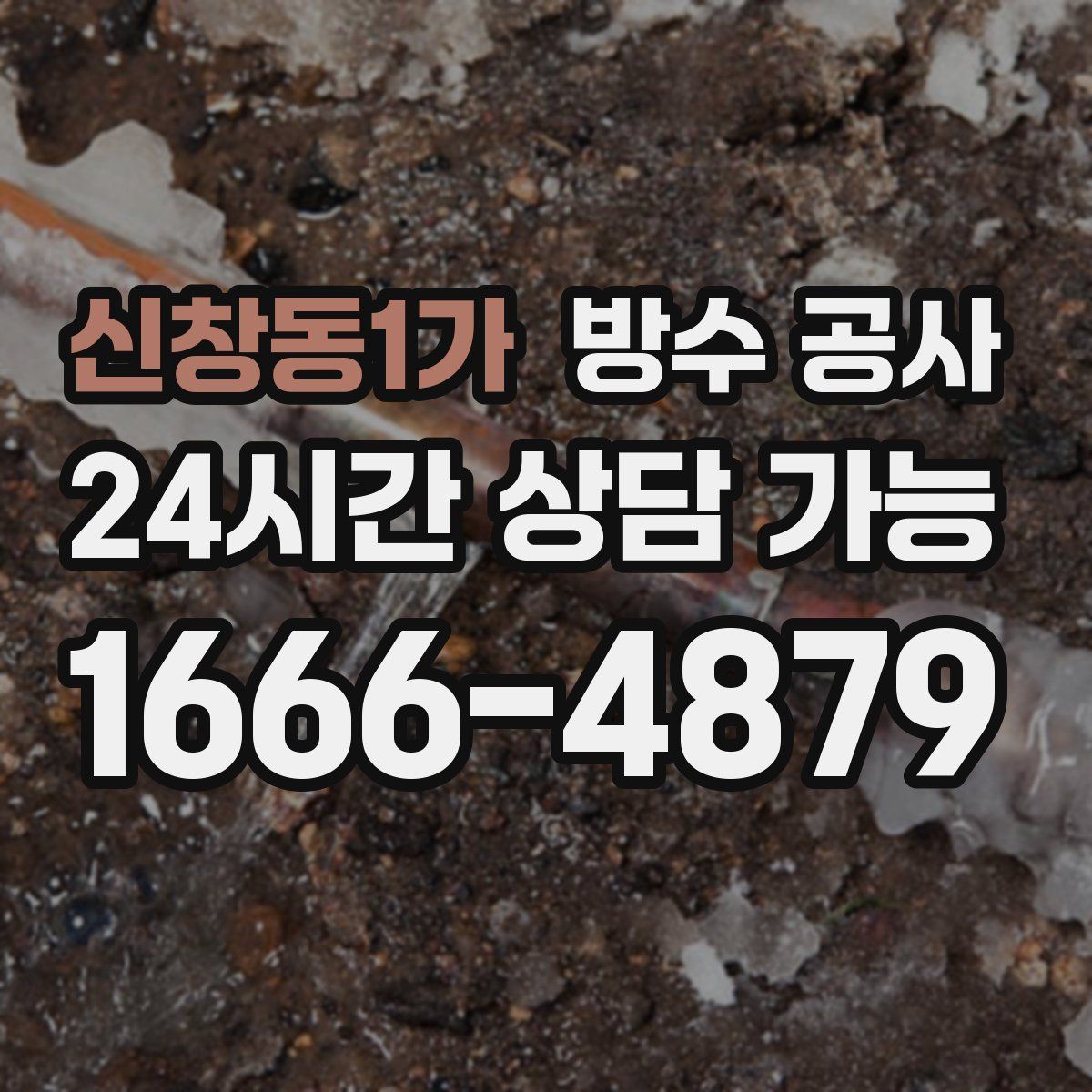 신창동1가 방수