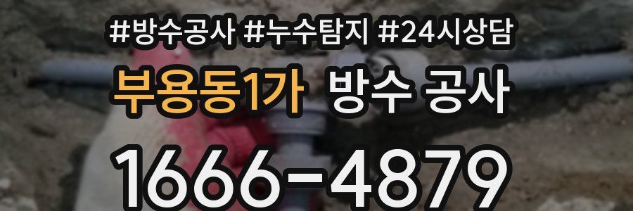 부용동1가 방수 공사