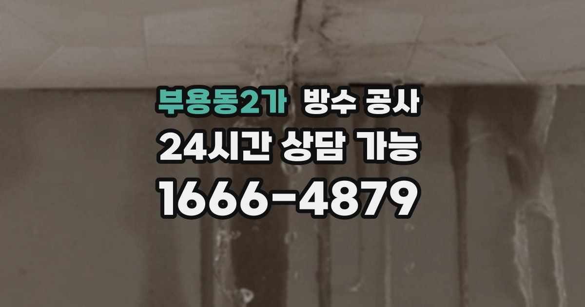 부용동2가 누수탐지