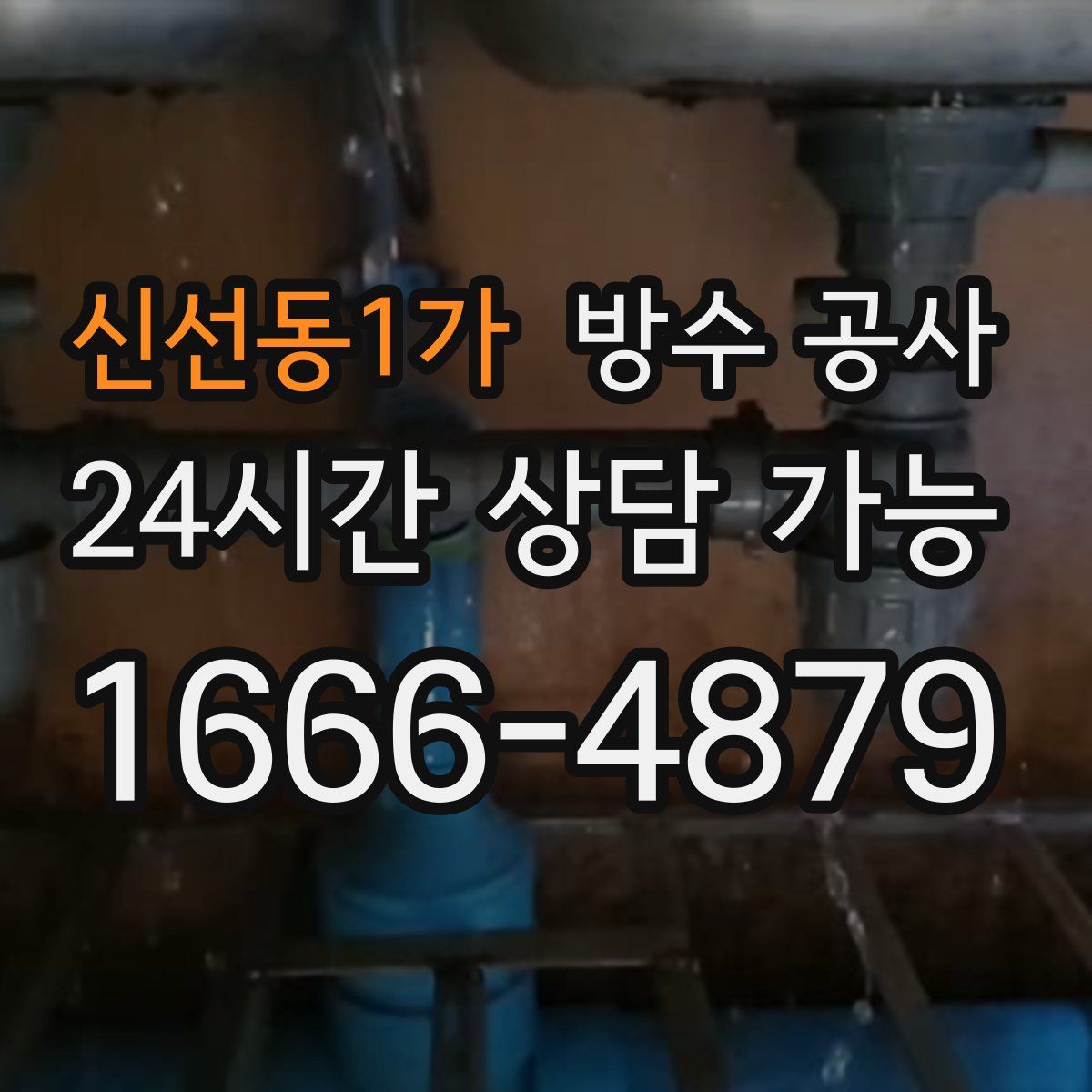 신선동1가 방수