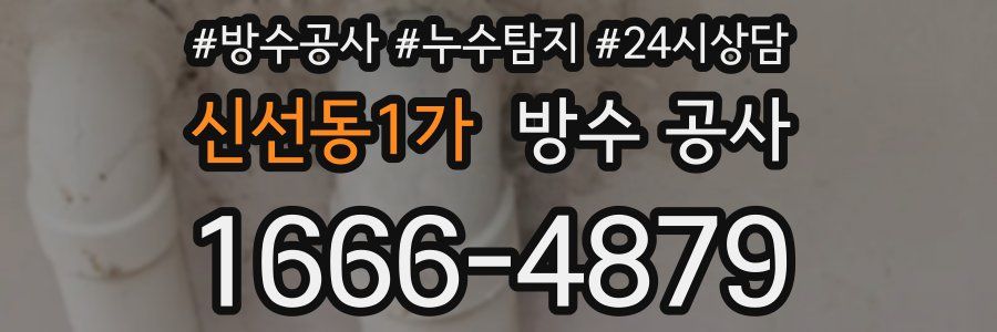 신선동1가 방수 공사