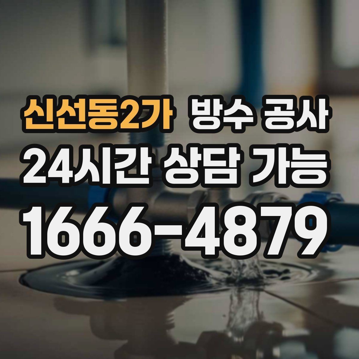 신선동2가 방수 공사 욕실 경계부 곰팡이 재발 이유