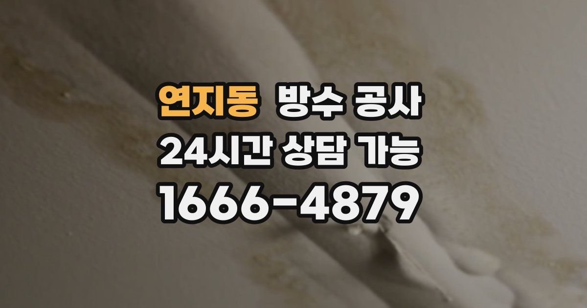 연지동 누수탐지