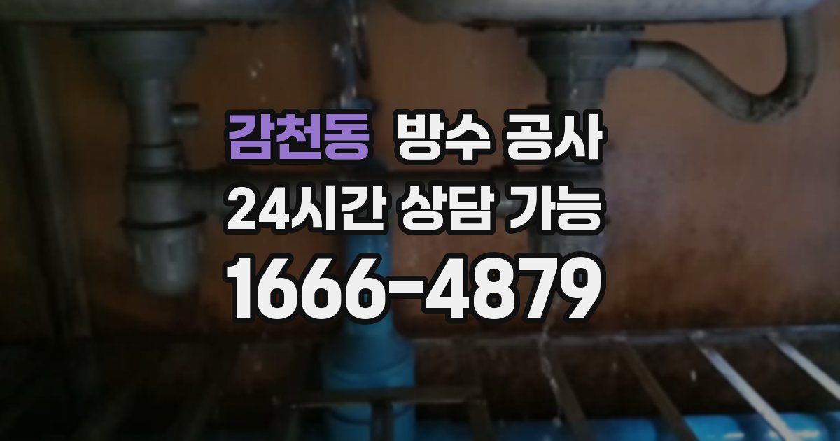 감천동 누수탐지