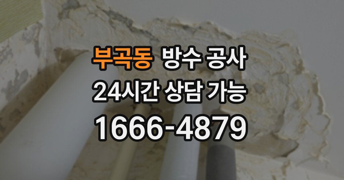 부곡동 누수탐지