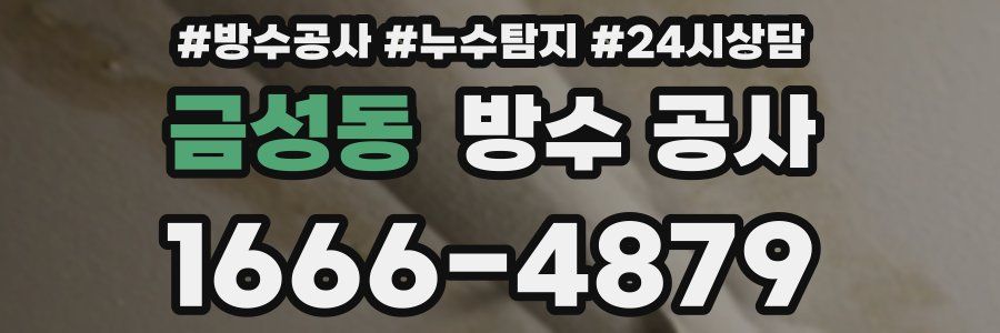 금성동 방수 공사