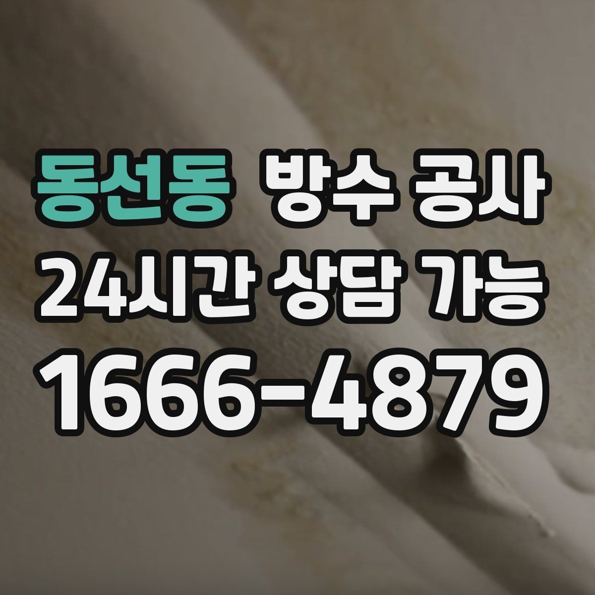 동선동 방수 공사 옥상 파라펫 상단 균열 보강 기준