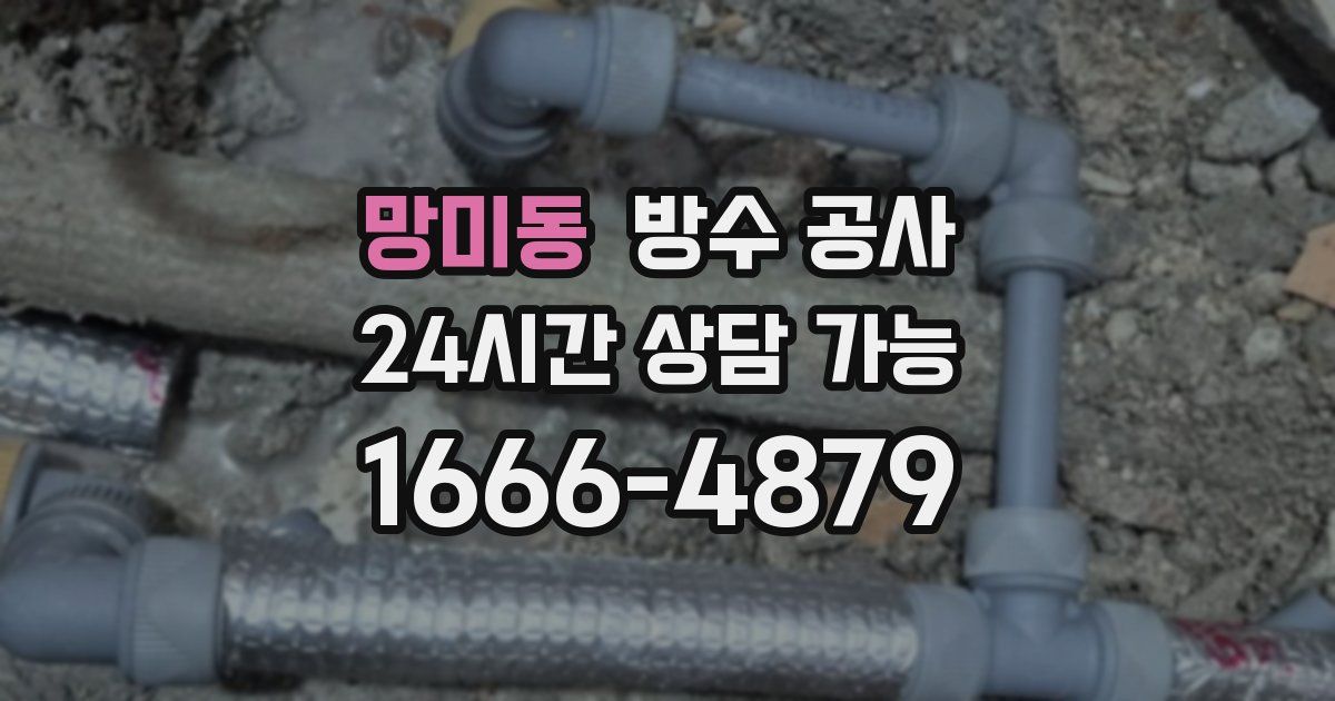 망미동 누수탐지