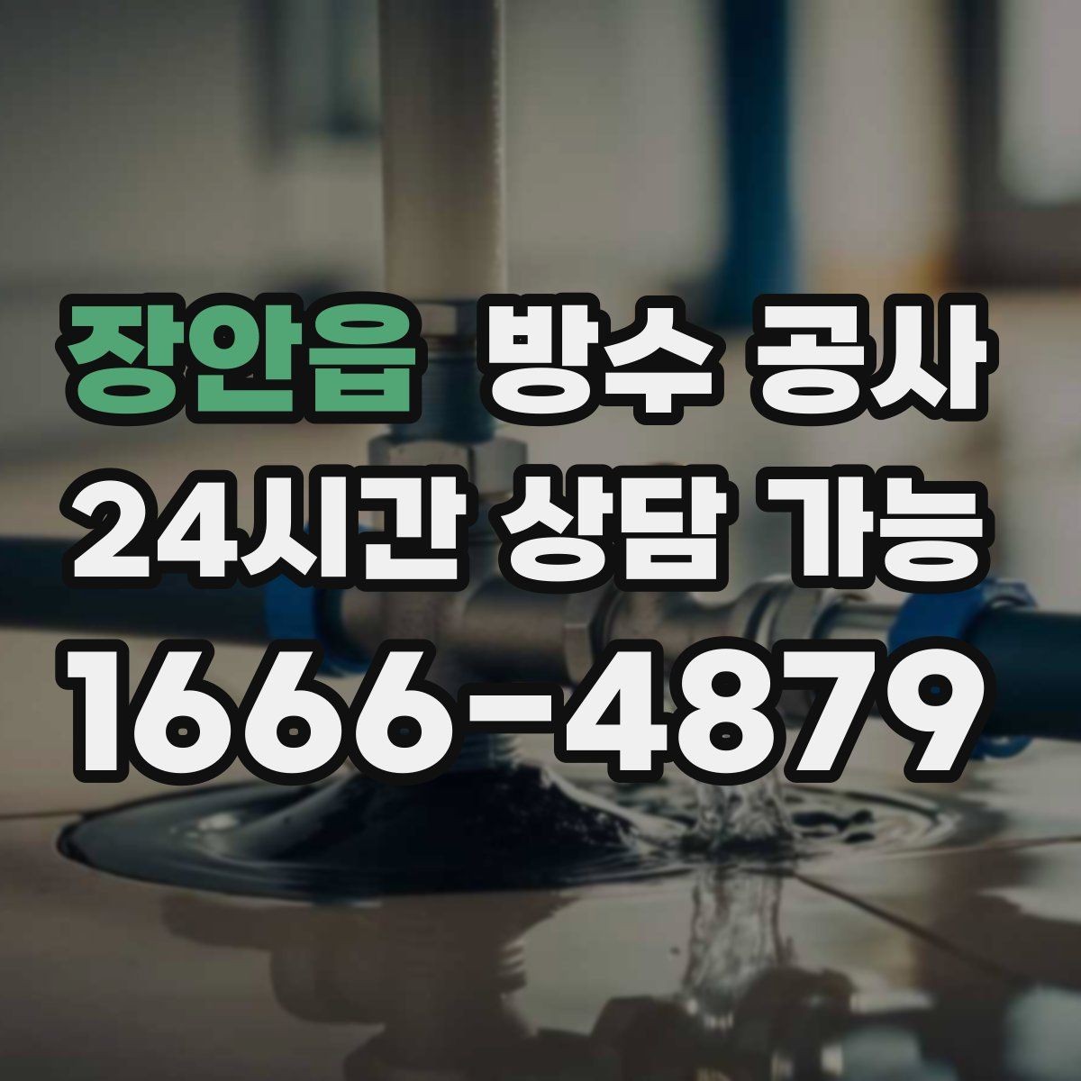 장안읍 방수 공사 비 온 다음날에만 새는 이유