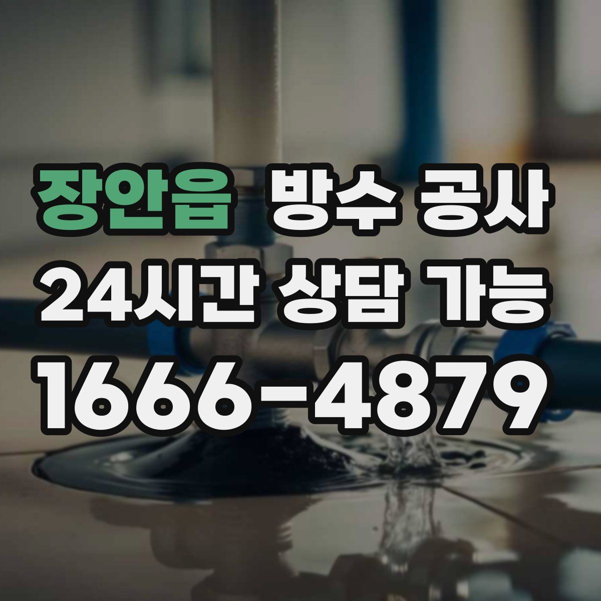 장안읍 방수
