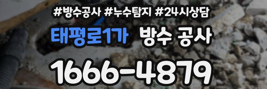 태평로1가 방수 공사