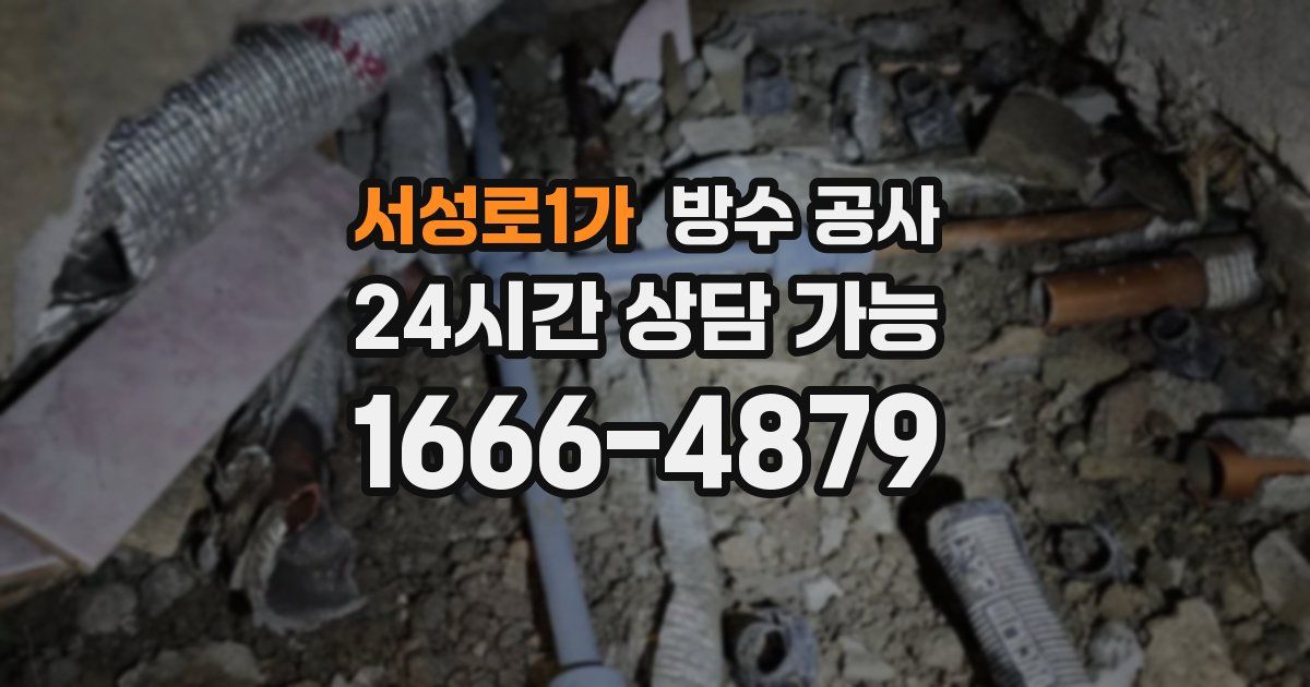 서성로1가 누수탐지