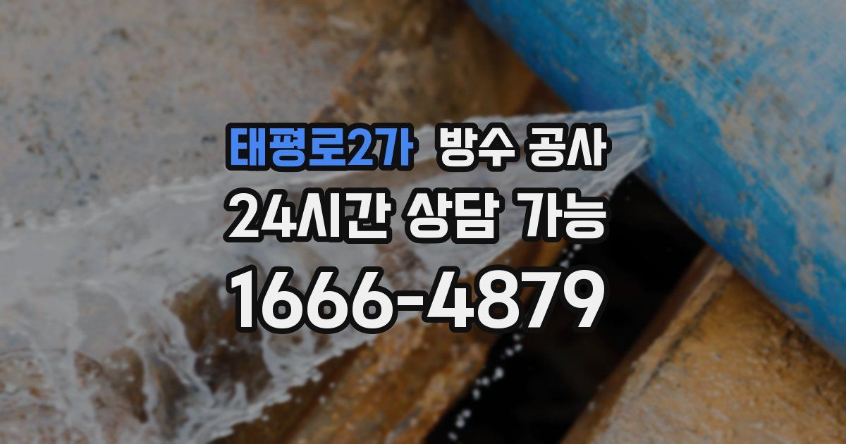태평로2가 누수탐지
