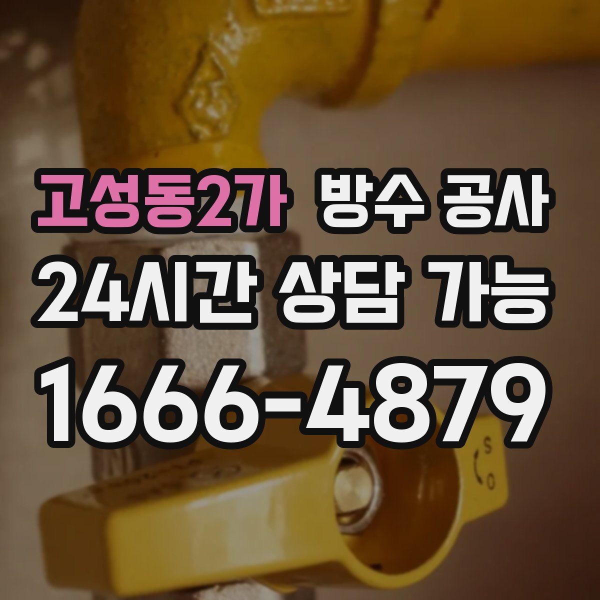 고성동2가 방수