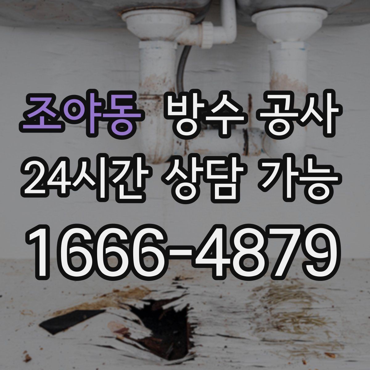 조야동 방수 공사 지하 곰팡이를 줄이는 점검 순서