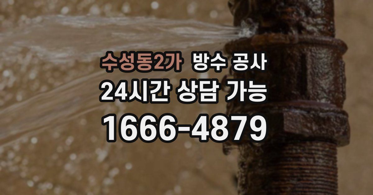 수성동2가 누수탐지