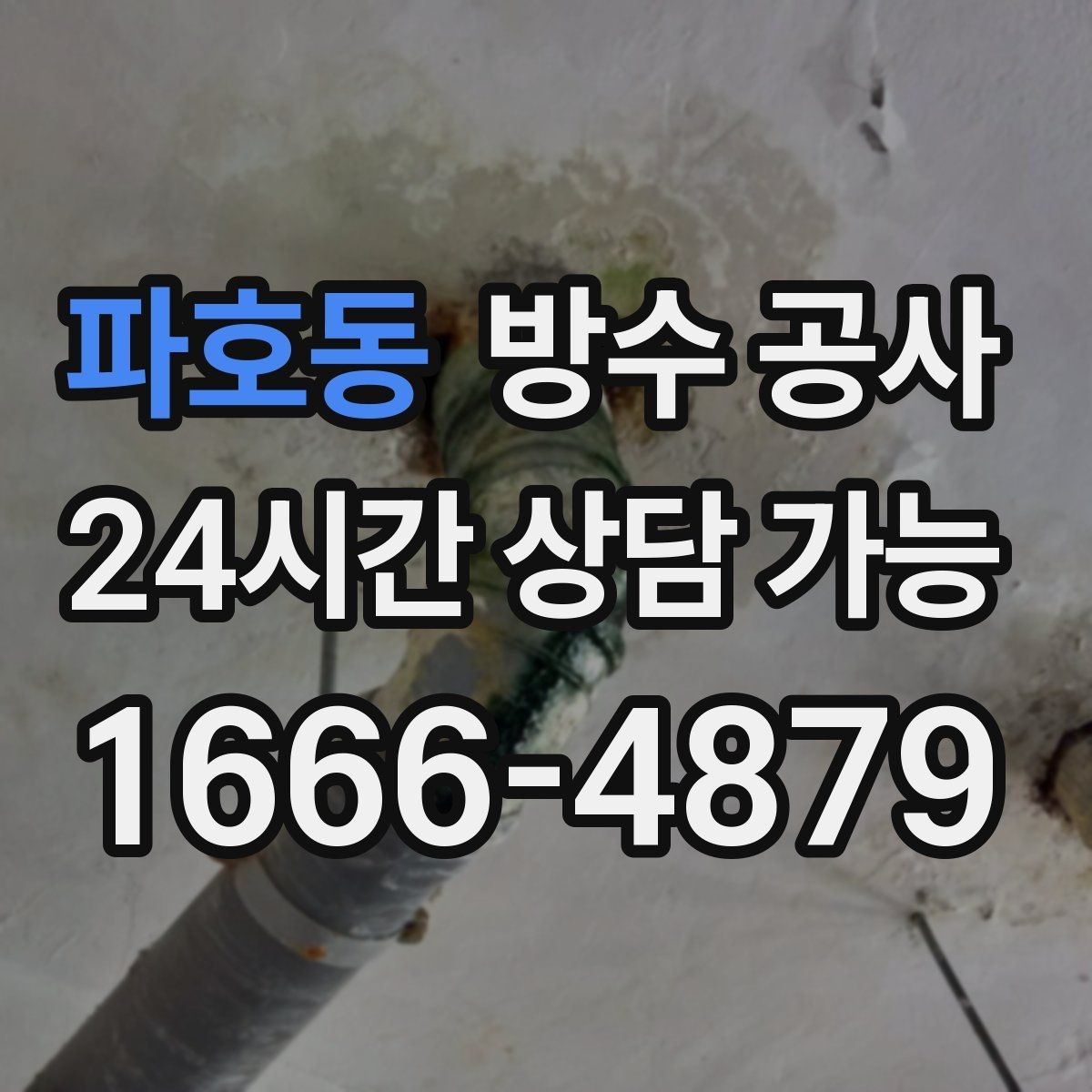파호동 방수 공사 옥상 드레인 주변 박리 원인 점검