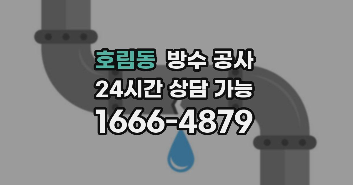 호림동 누수탐지