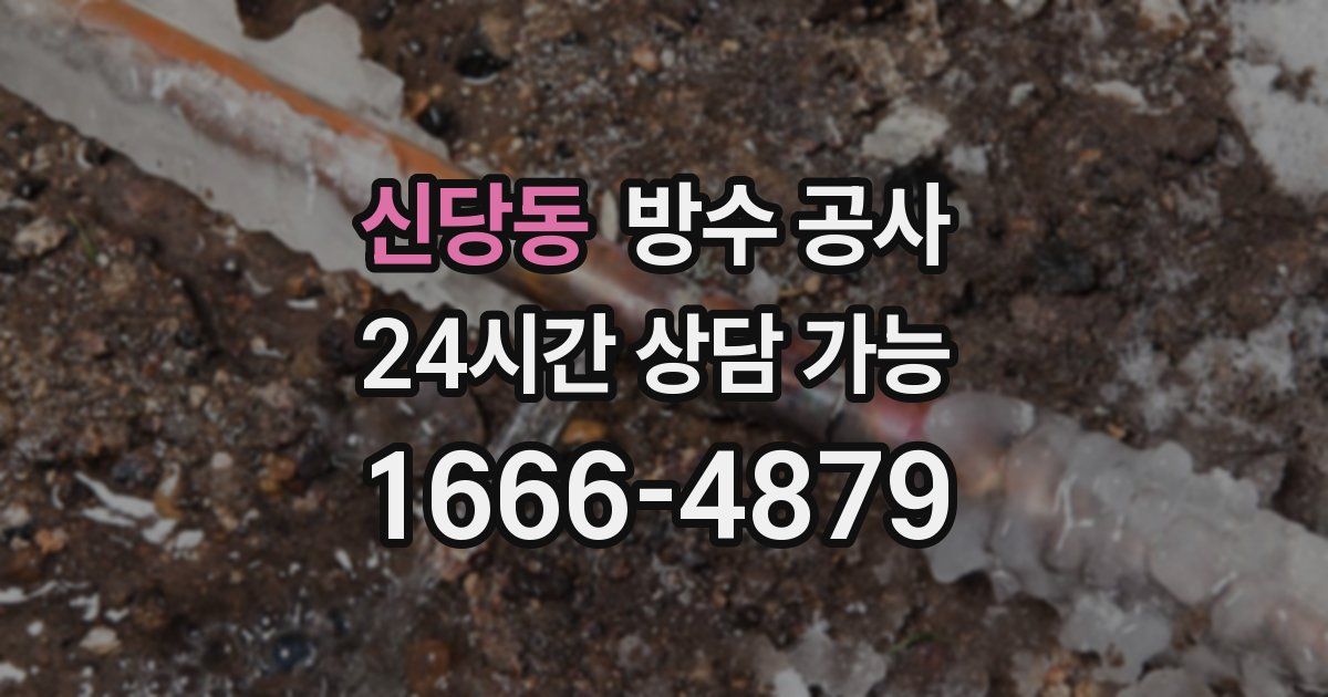 신당동 누수탐지