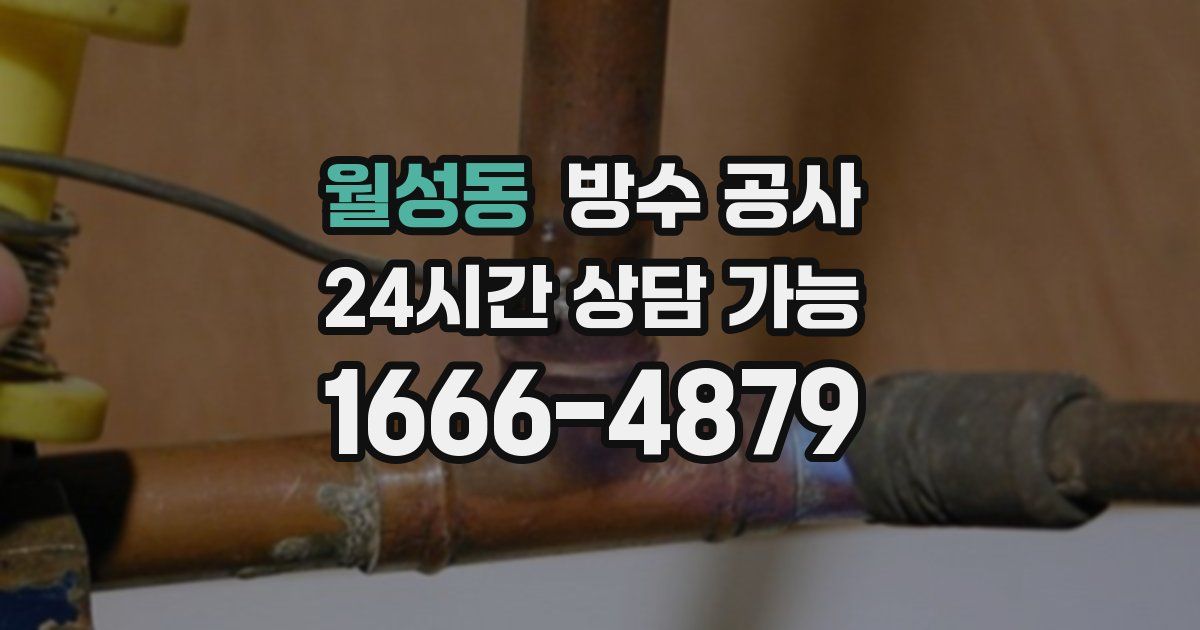 월성동 누수탐지