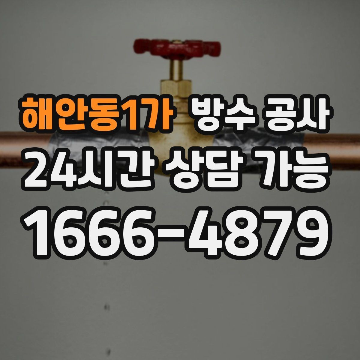 해안동1가 방수 공사 단독주택 마당과 벽 경계 젖음 점검