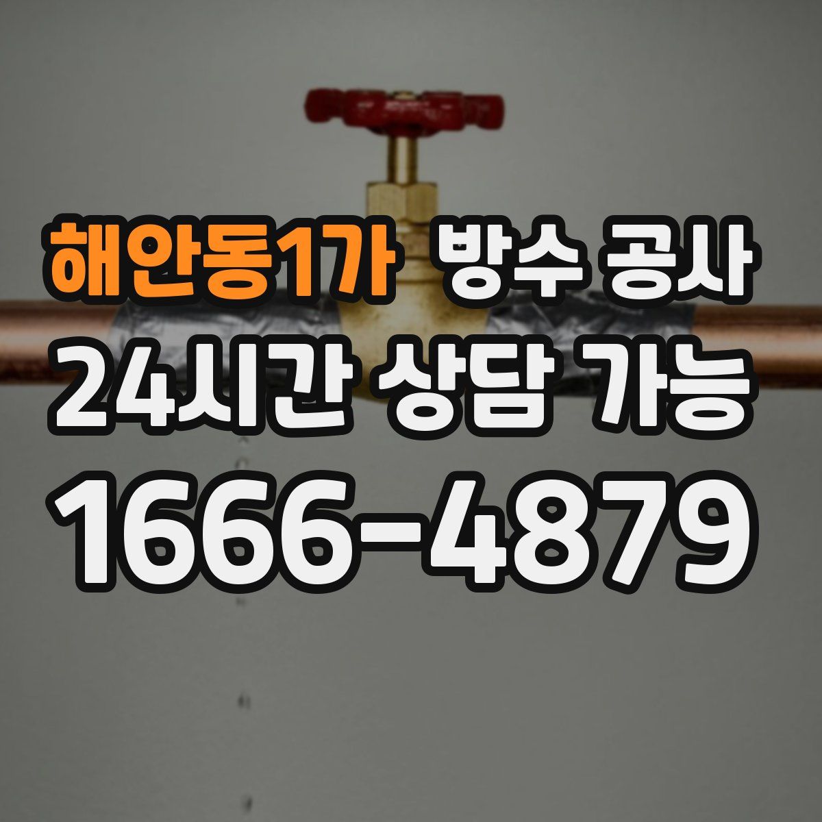 해안동1가 방수