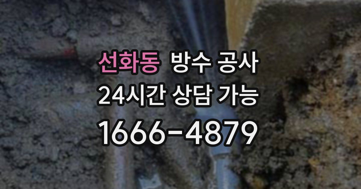 선화동 누수탐지